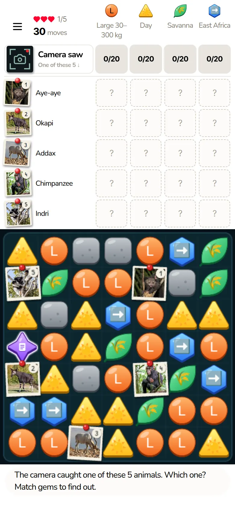 A round on a phone: five look-alike animals in the evidence grid, their cards pinned on a board of gems
