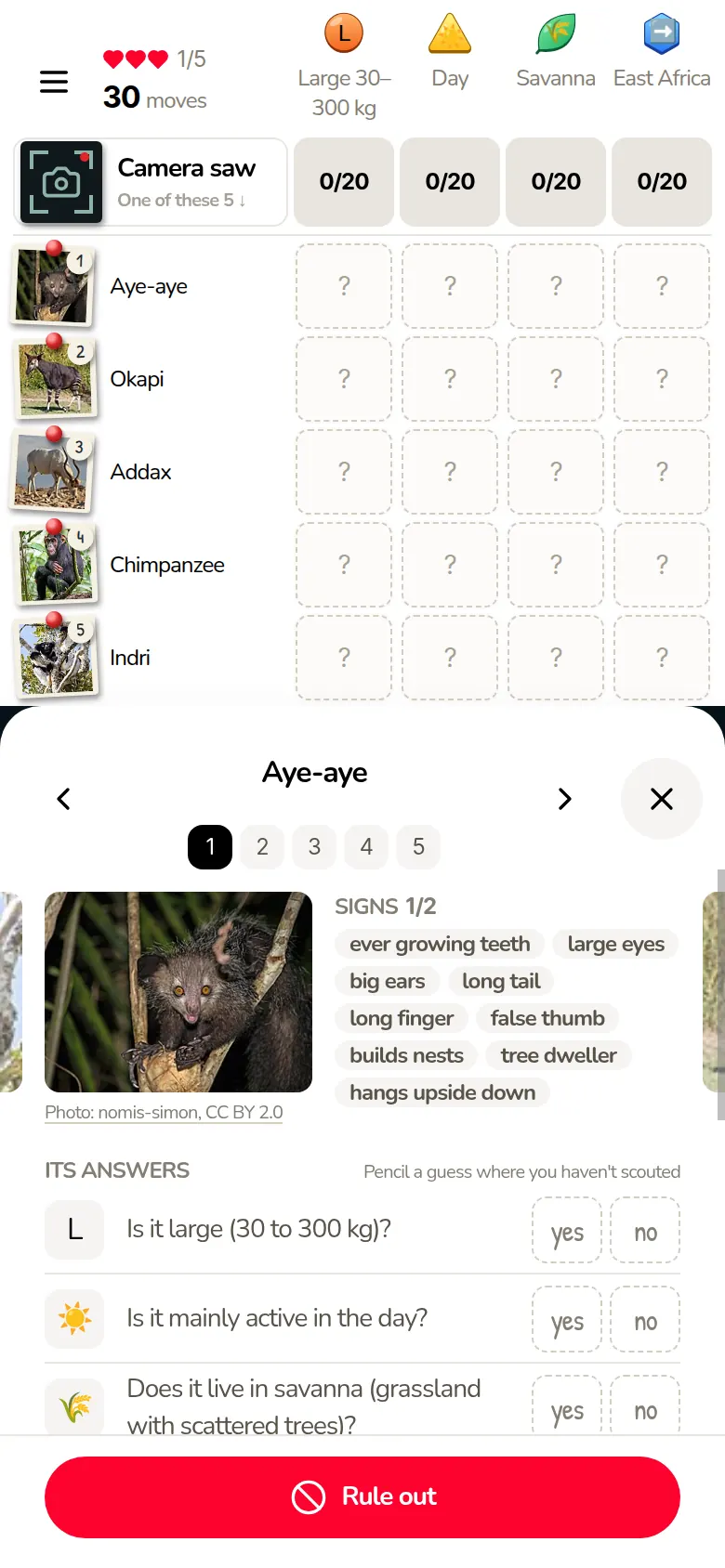 The Aye-aye's field guide, open over the grid: its photo, its signs and its answers to the questions